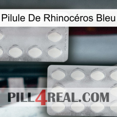 Pilule De Rhinocéros Bleu 17
